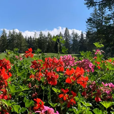Apartman Les Serandes Crans-Montana